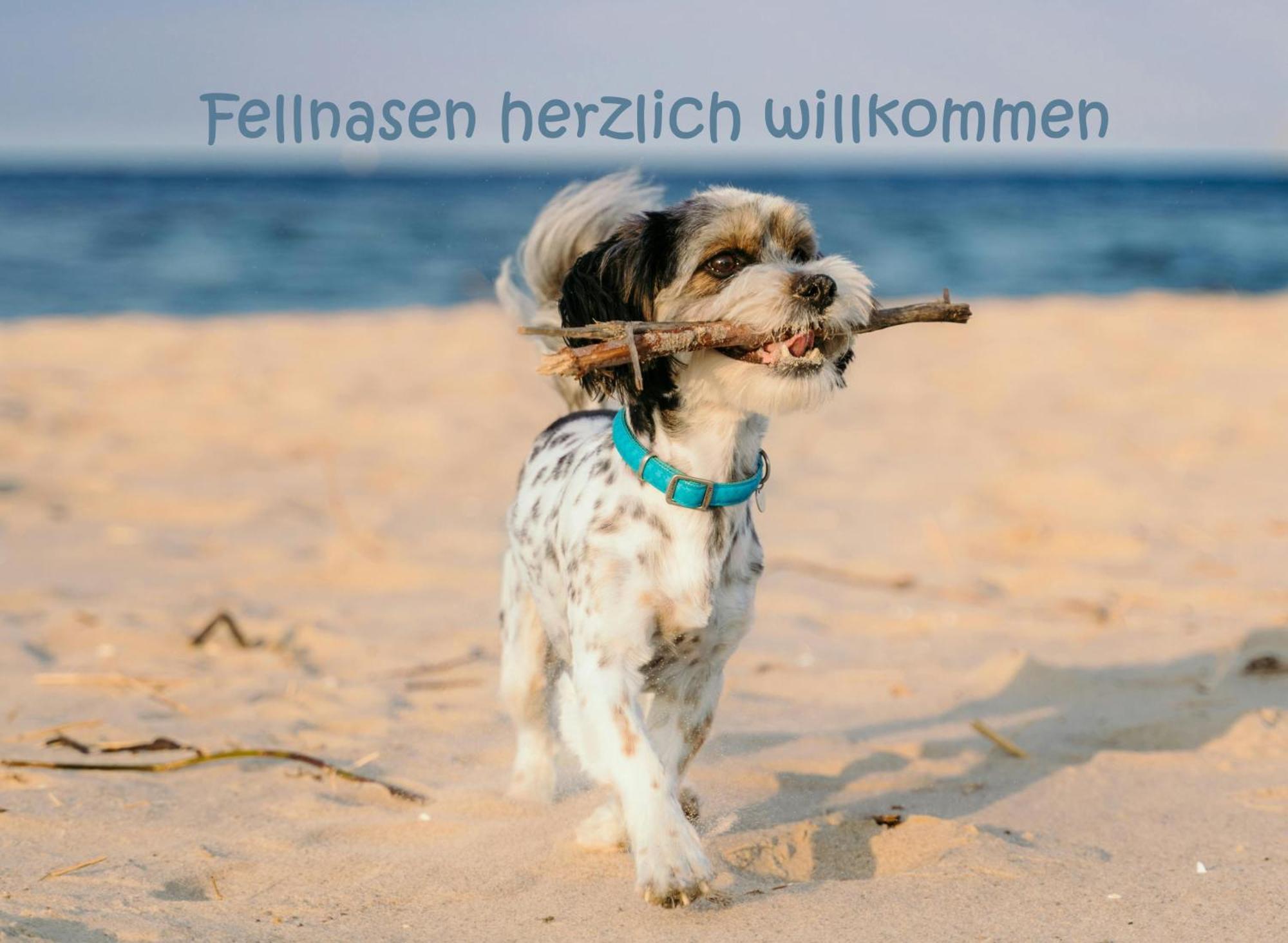 Hafensuite Ipura Vida! - Fuer Leben-Geniesser Kappeln Luaran gambar